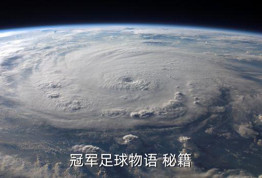 冠军足球物语 秘籍